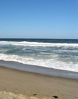 Cape Cod Beach